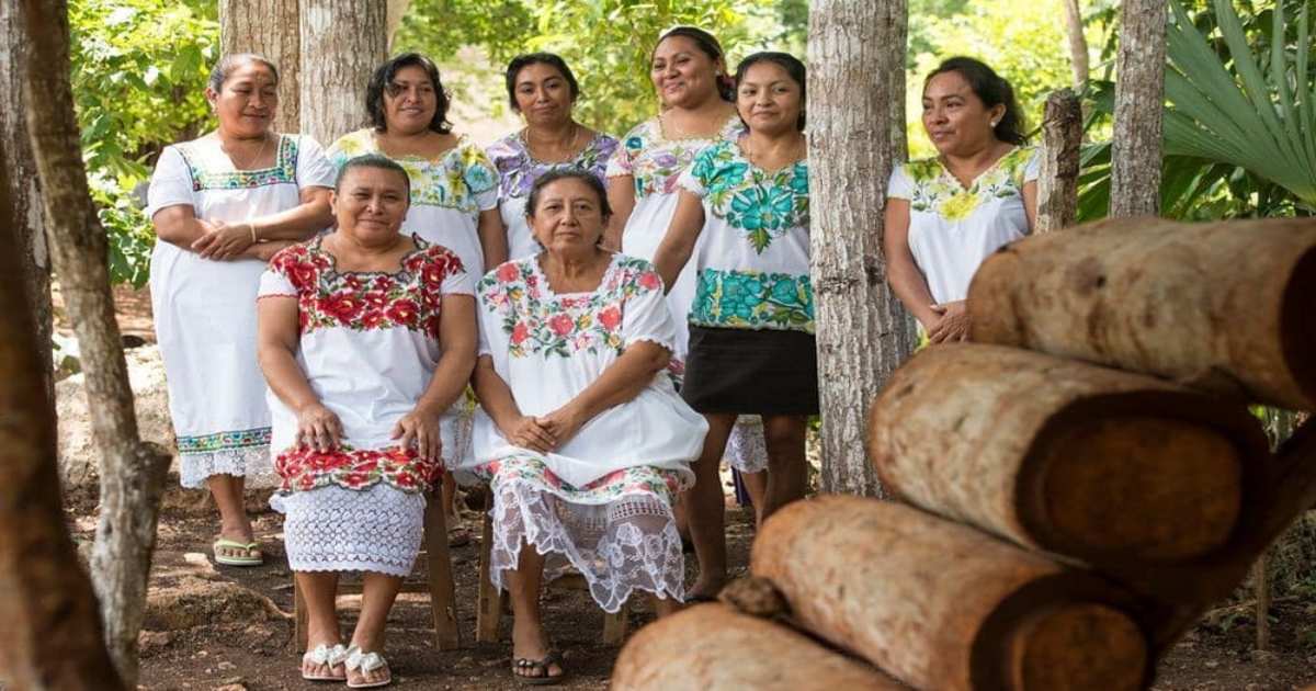 mujeres mayas protegen abejas